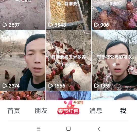 干就完啦散养土鸡