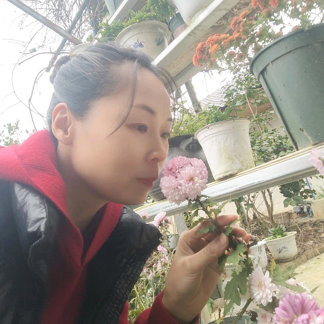 红灯笼刘姐