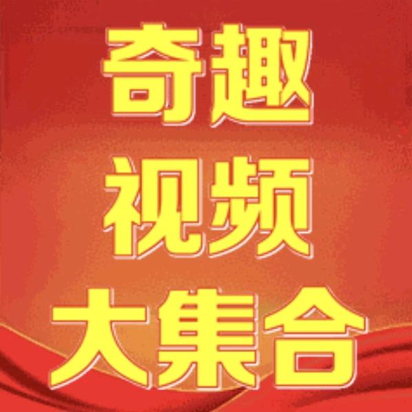 奇趣视频大集合