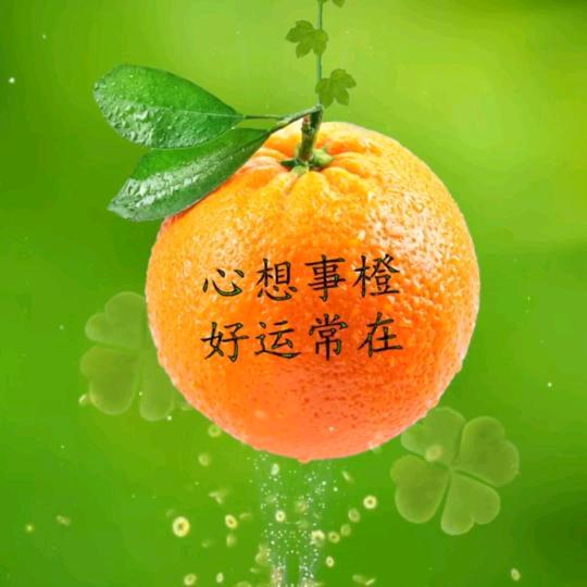 青柠🍋🍋