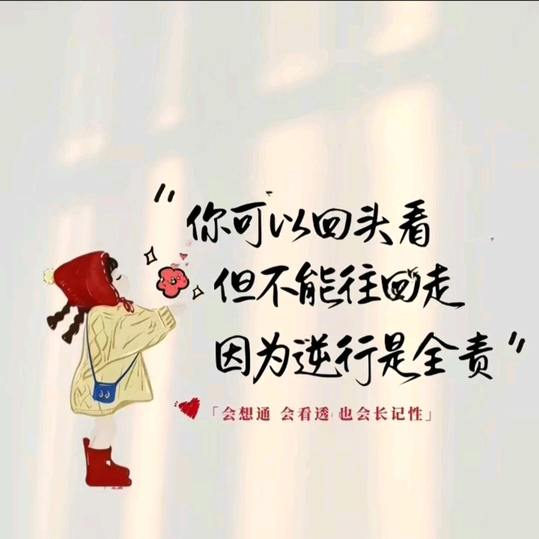 🦈悦己🪽
