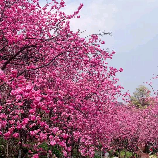 生活一天会比一天好