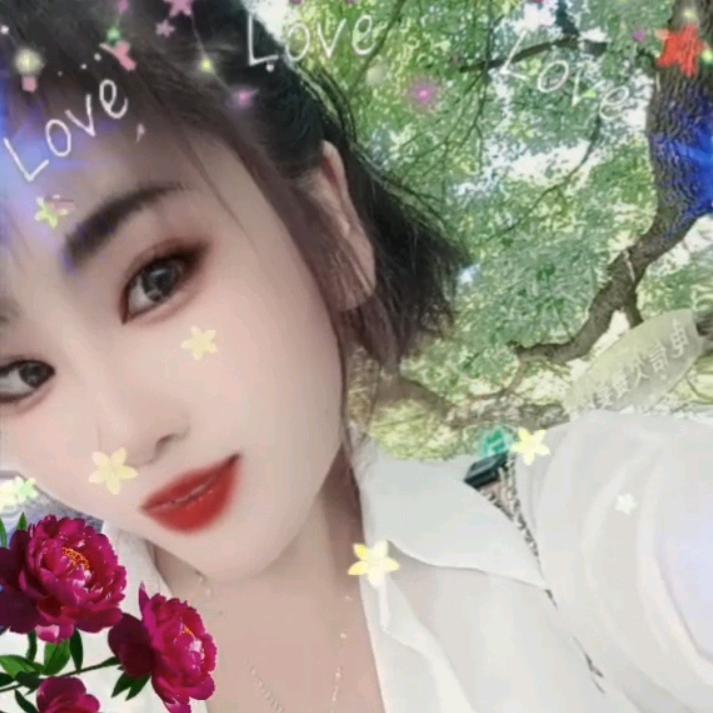 🌹玫瑰情缘🌺