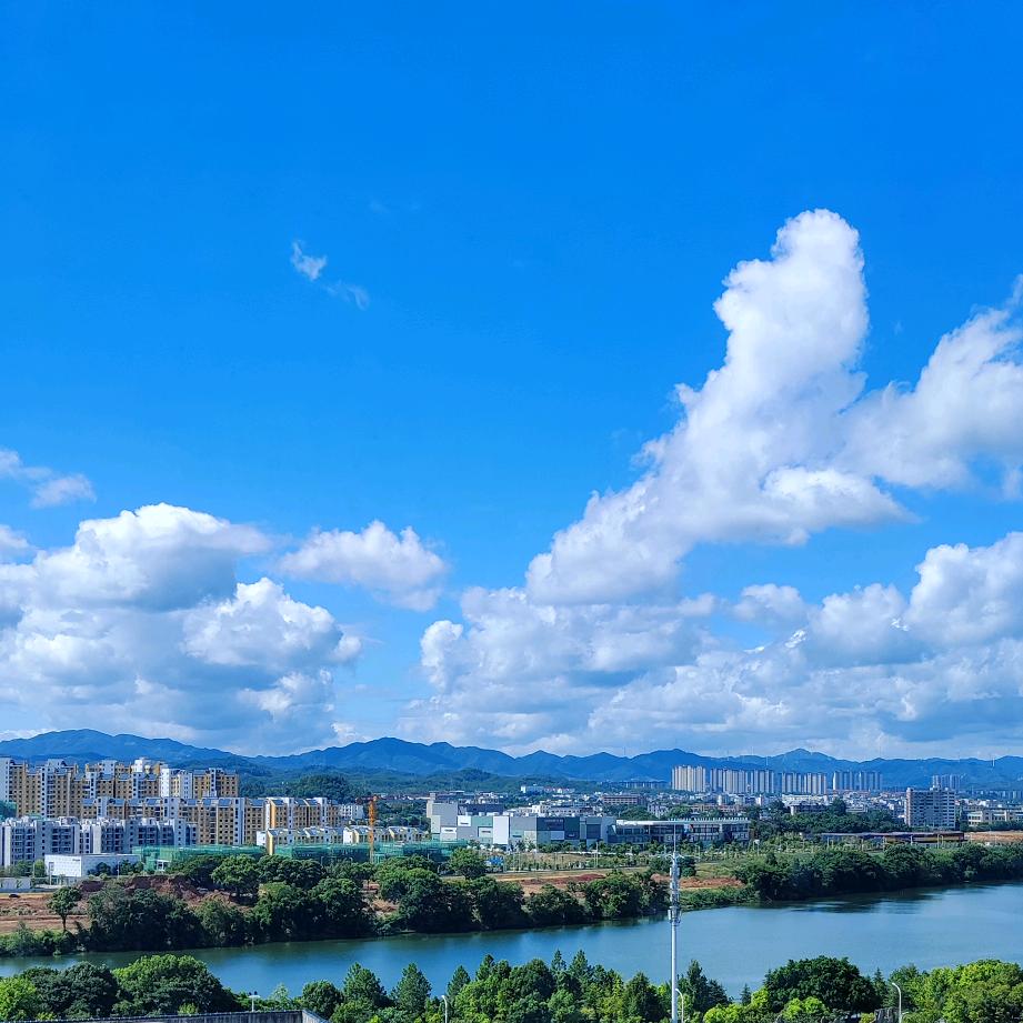 大王叫我来下山