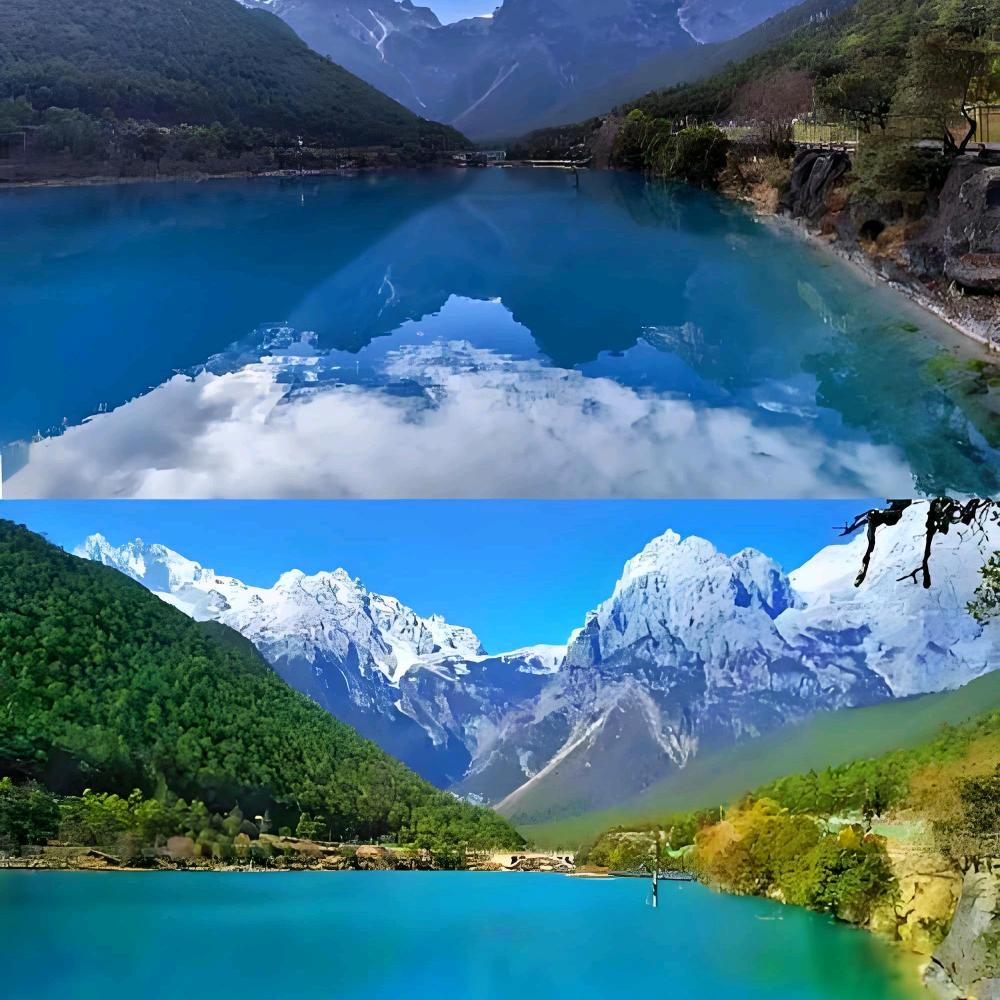 臻行纪旅游有限公司