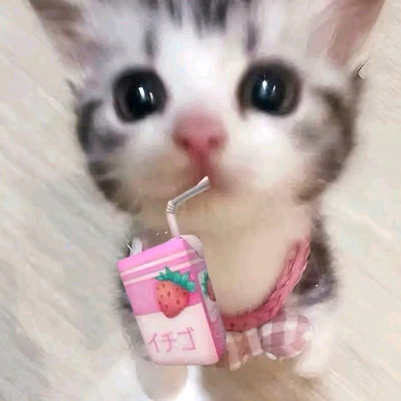 VV
