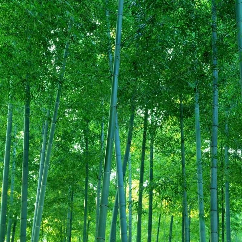 良田果业