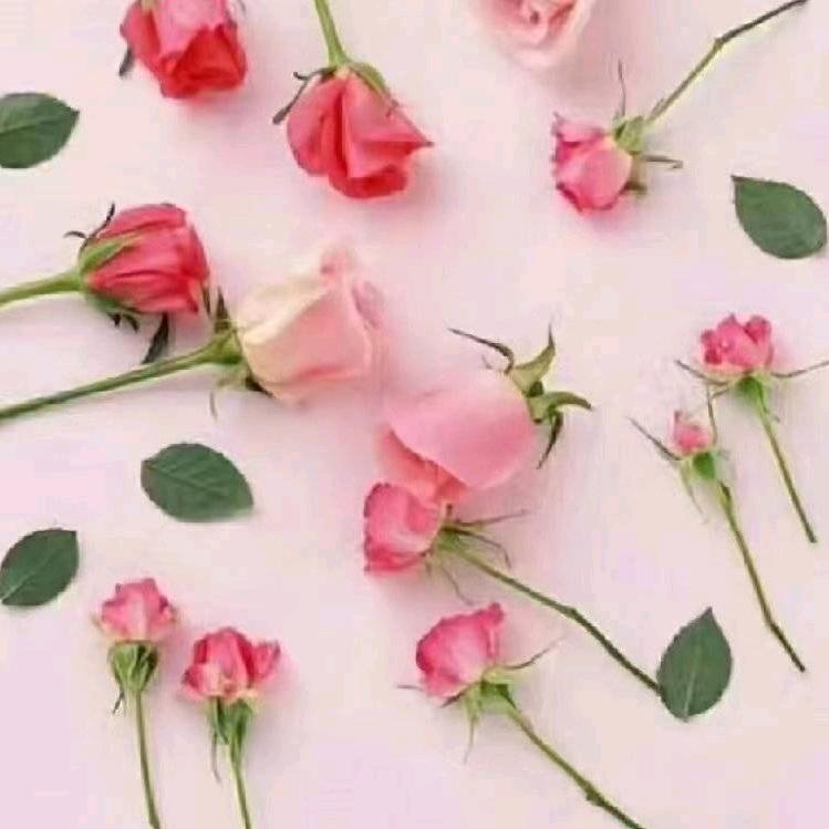 🍒浮云🍒