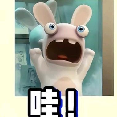 ㅤㅤㅤㅤㅤㅤㅤㅤ