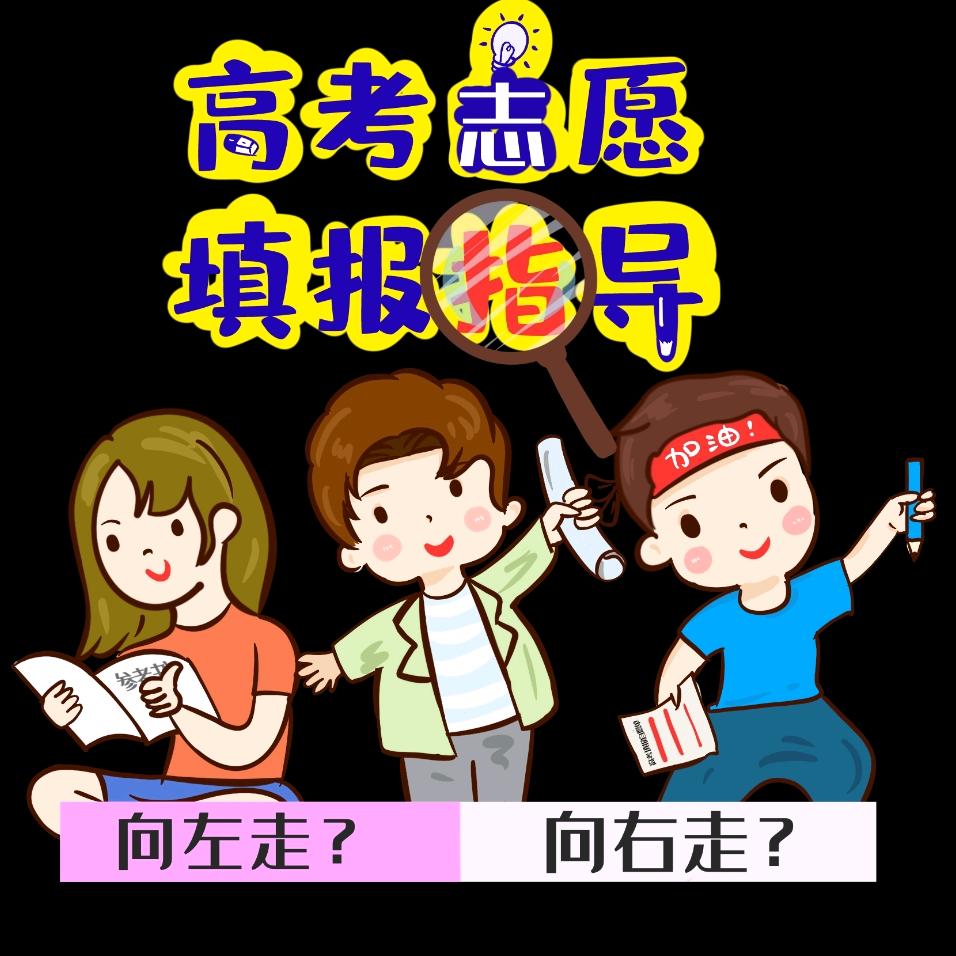 山东高考志愿规划