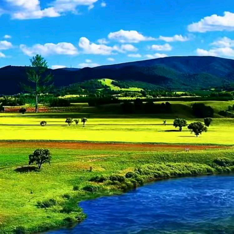 🈲🈲官方老㊗️龙哥🐲🈲🈲🈲?