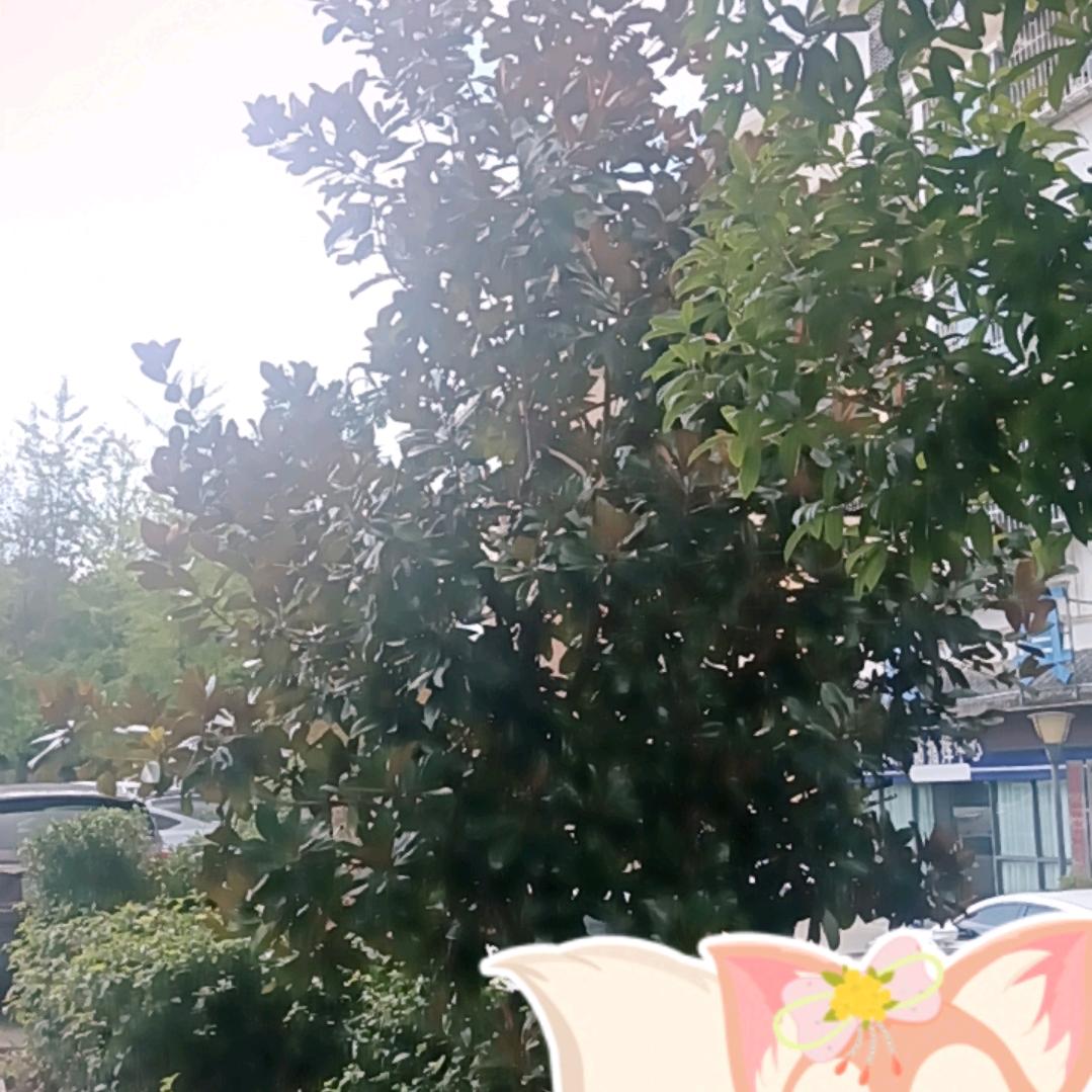 两个孩子的妈妈