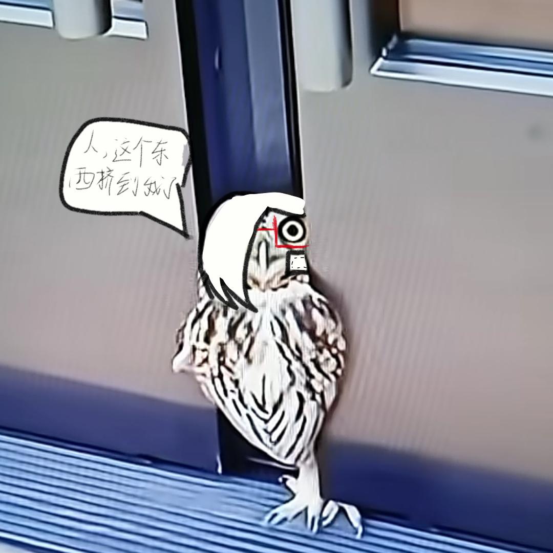 吗喽酱^v^（求推荐）