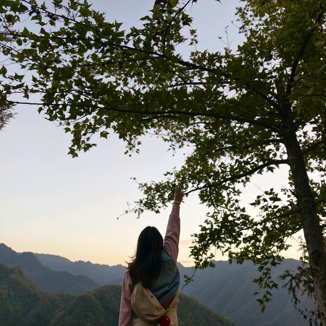 εïз绿叶水果娟子