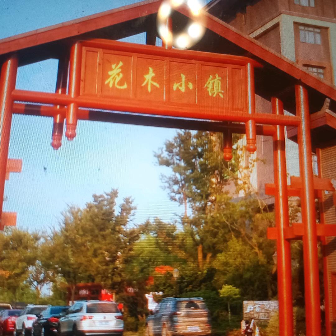 🌸花木小镇🌸