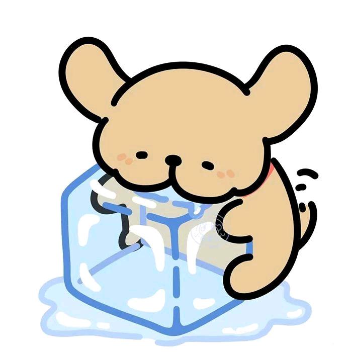 柒如壹头像