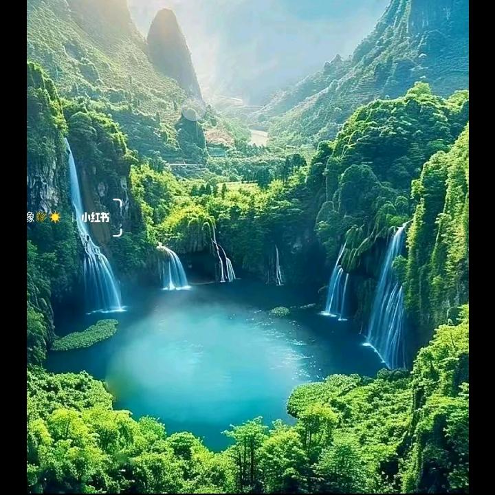 矢志不渝