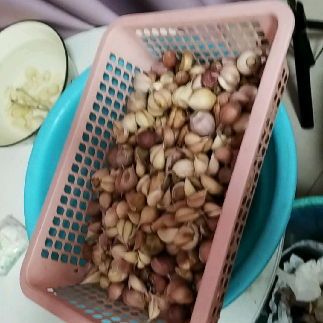 小刘在努力
