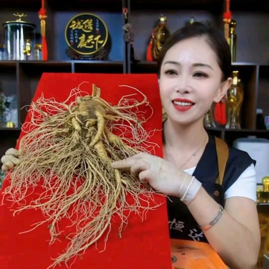 灵参缘参茸