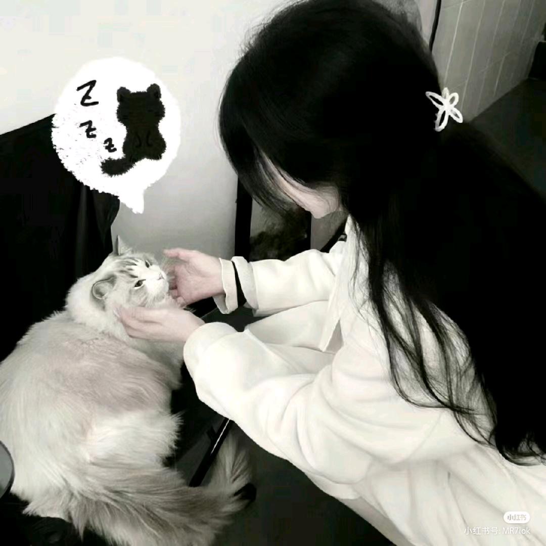 雾🐾