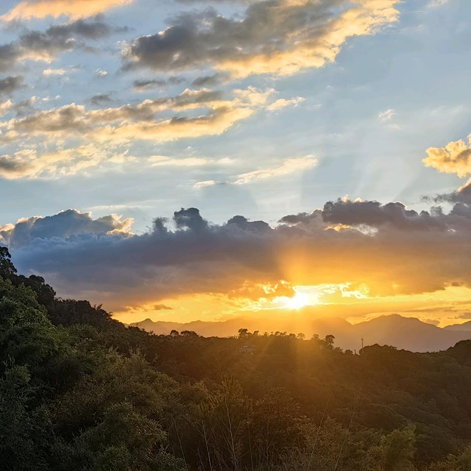 混元太极马保国