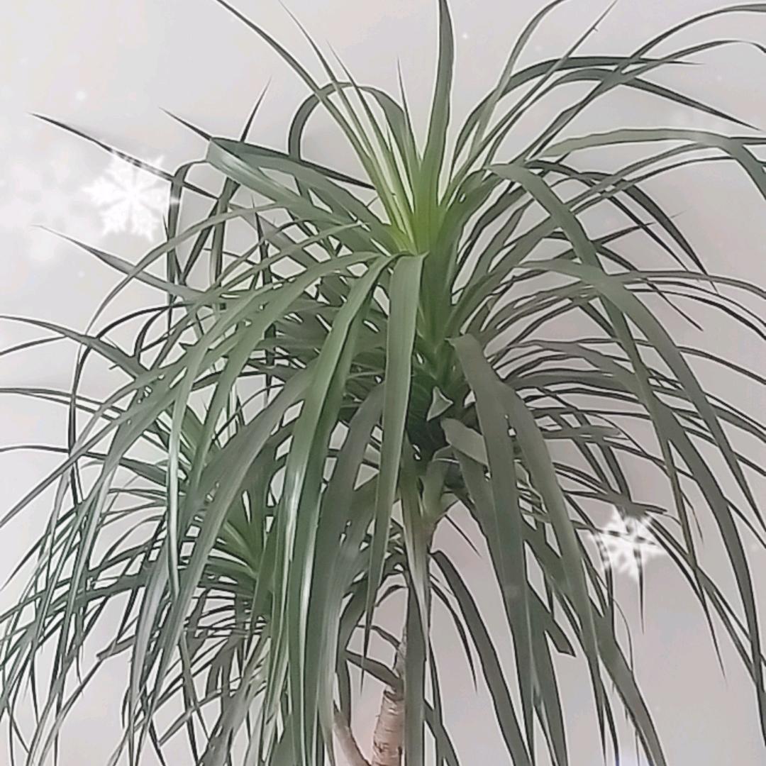 @一生平安