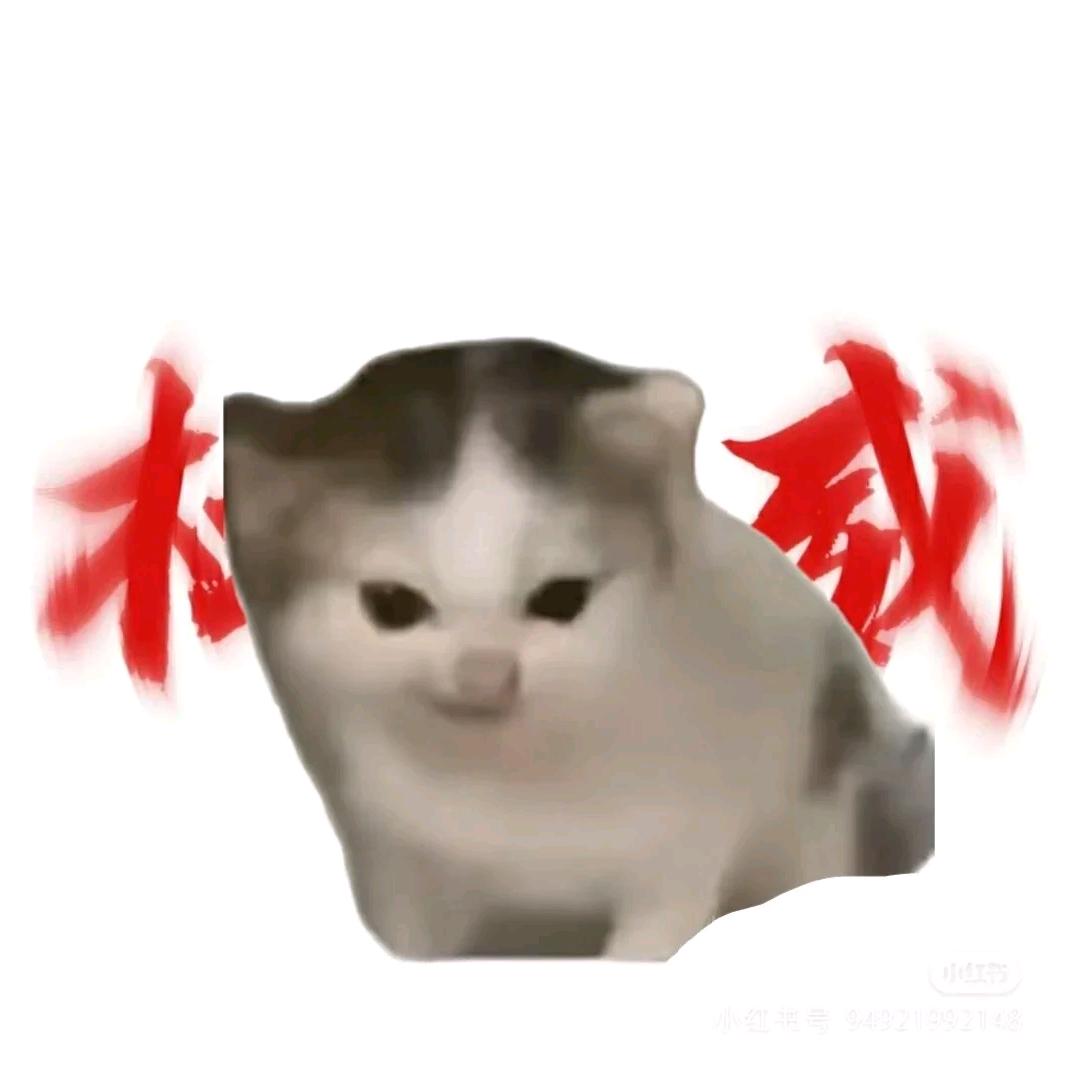 红衣军小班