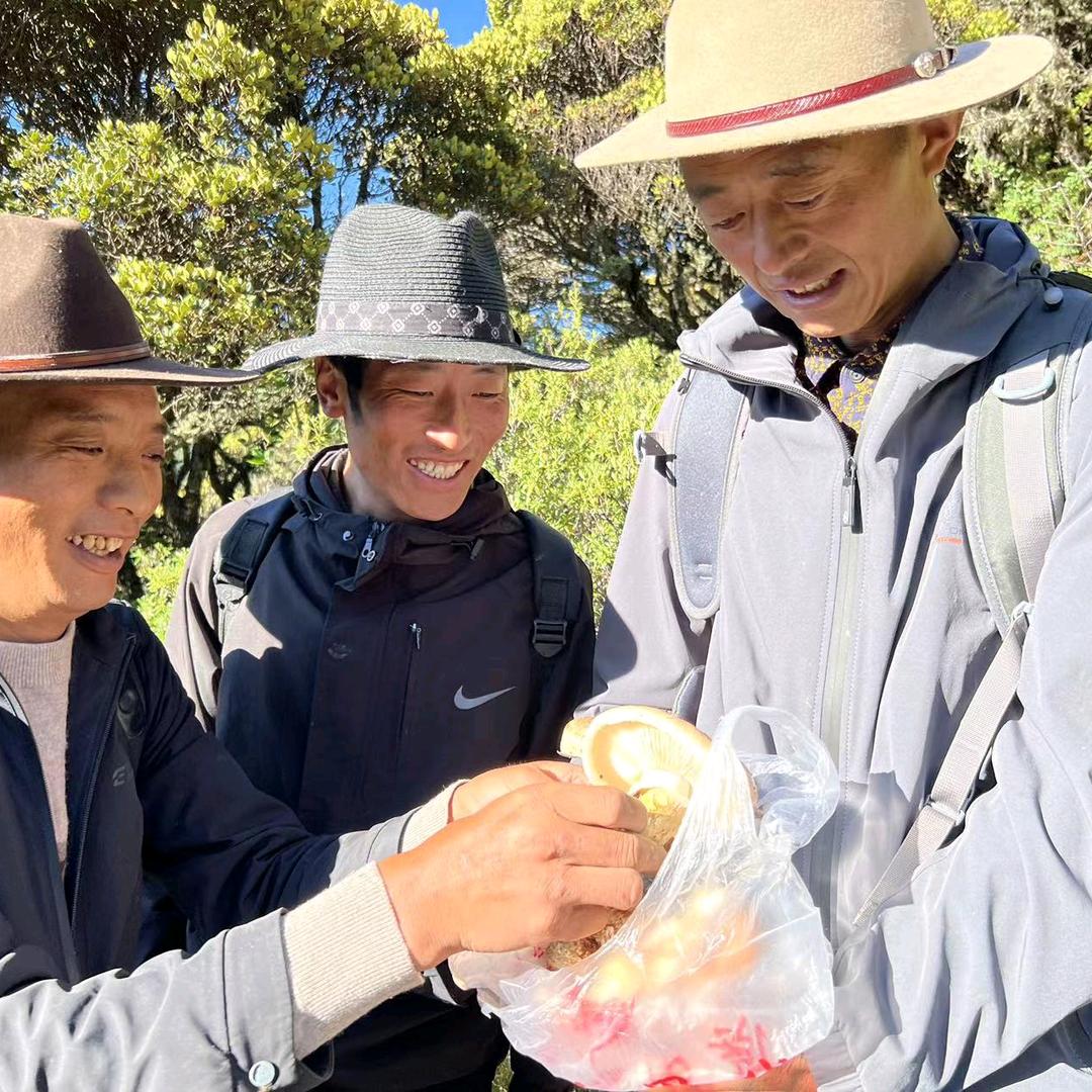 赫梓堂滋补旗舰店