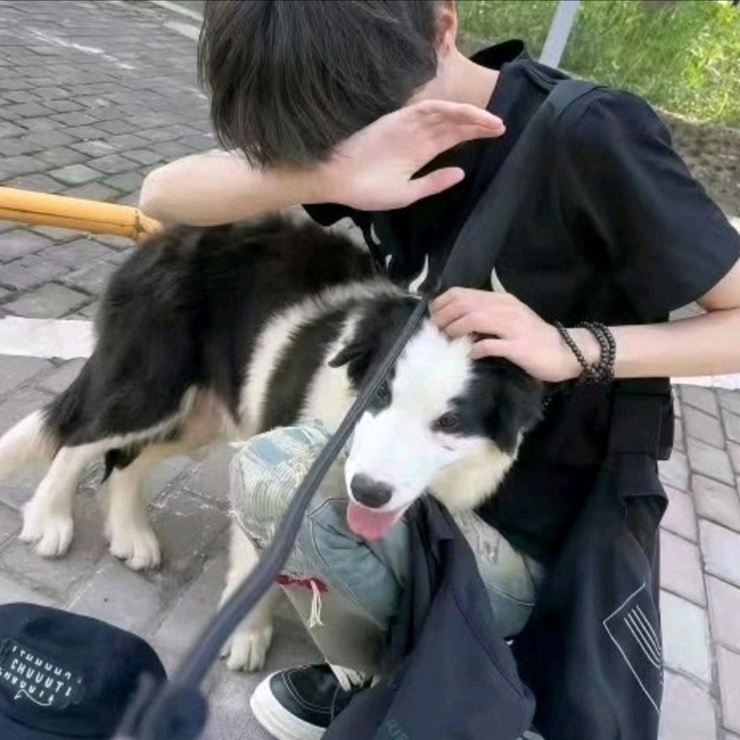 炒
