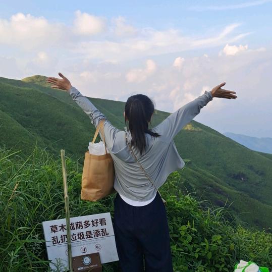 平平淡淡才是真