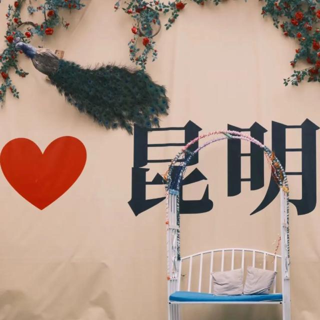 昆明鸡枞我能修