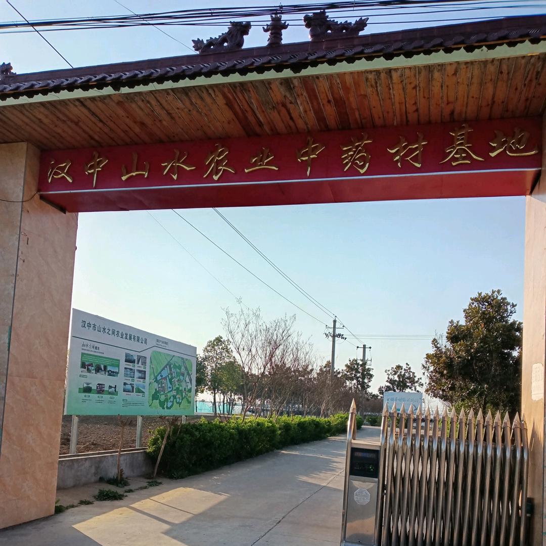 中药材种苗基地
