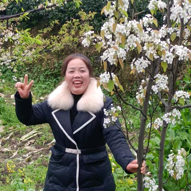 晴天🌸