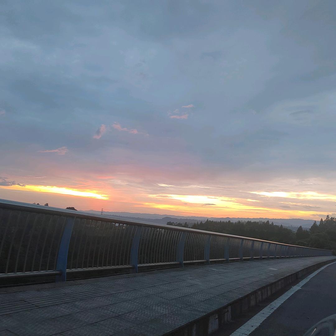 余生不走感情路