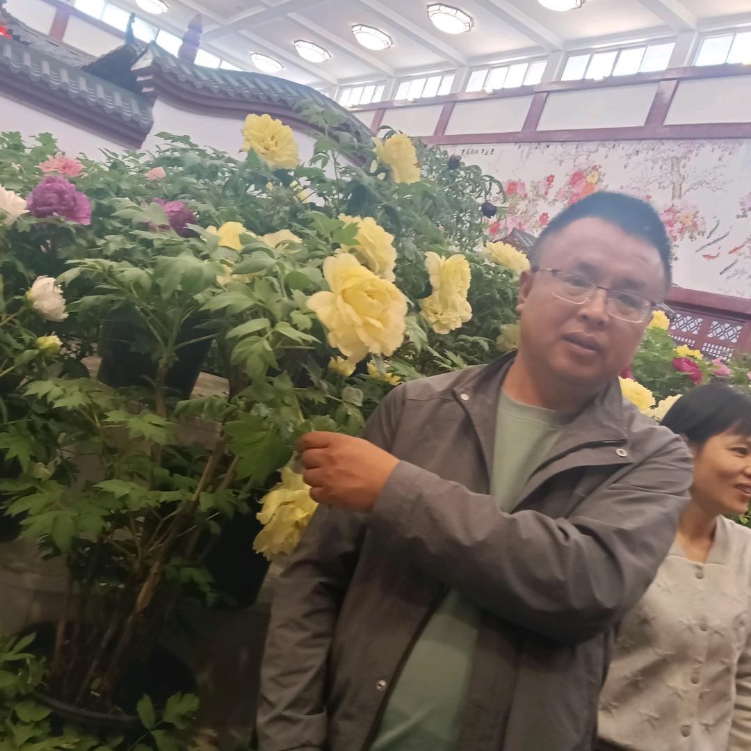 好像是
