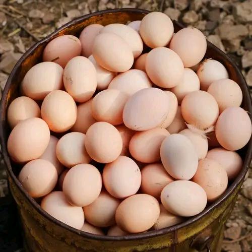 一碗米饭的修养