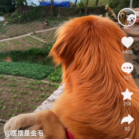 ′修、改