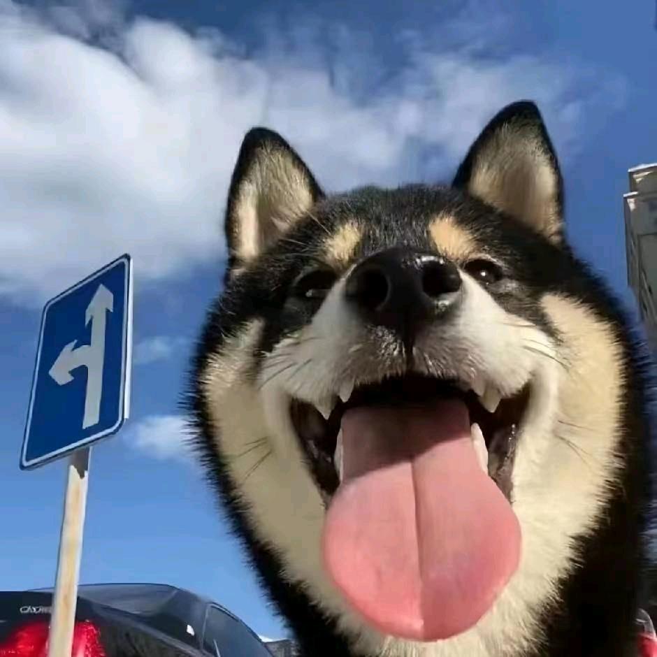 在你的身边~