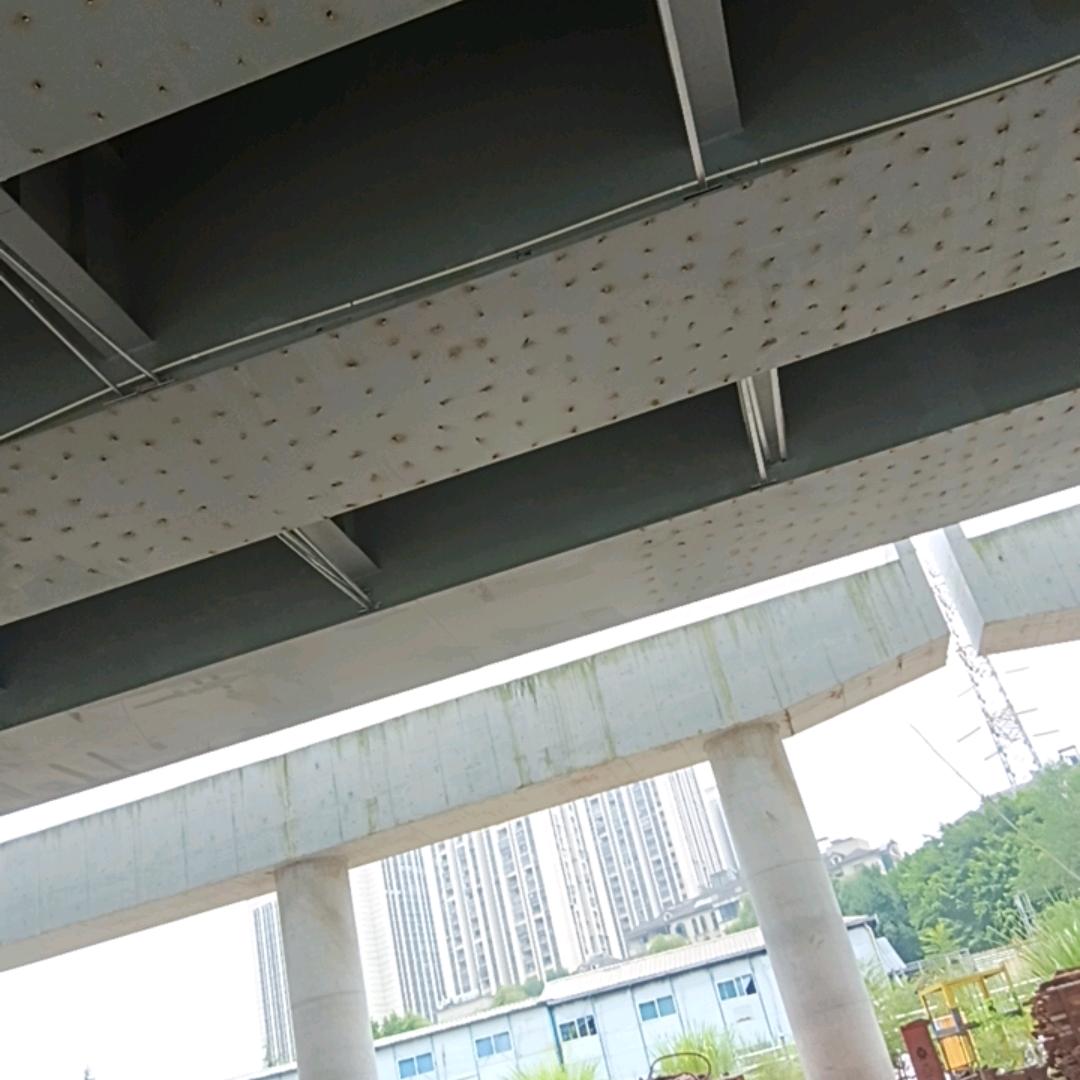 爱情