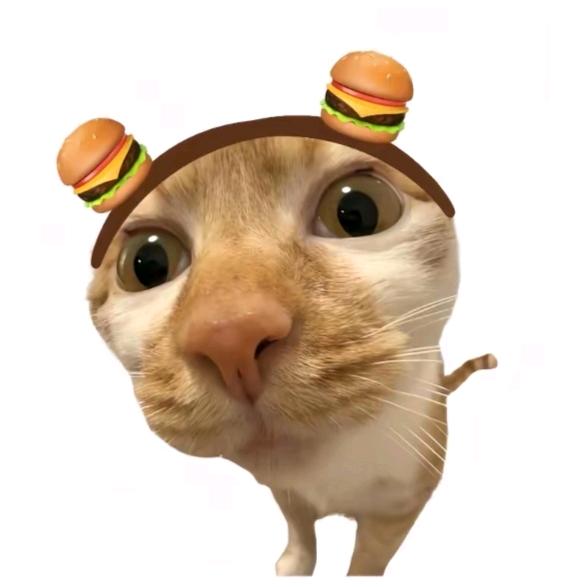 你算什么小番茄🍅