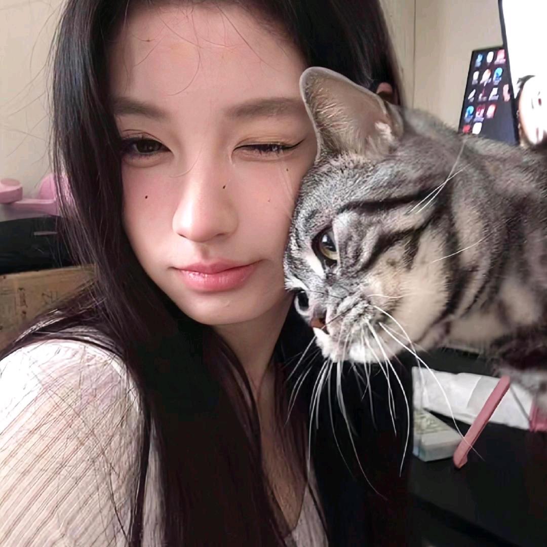 十一✨