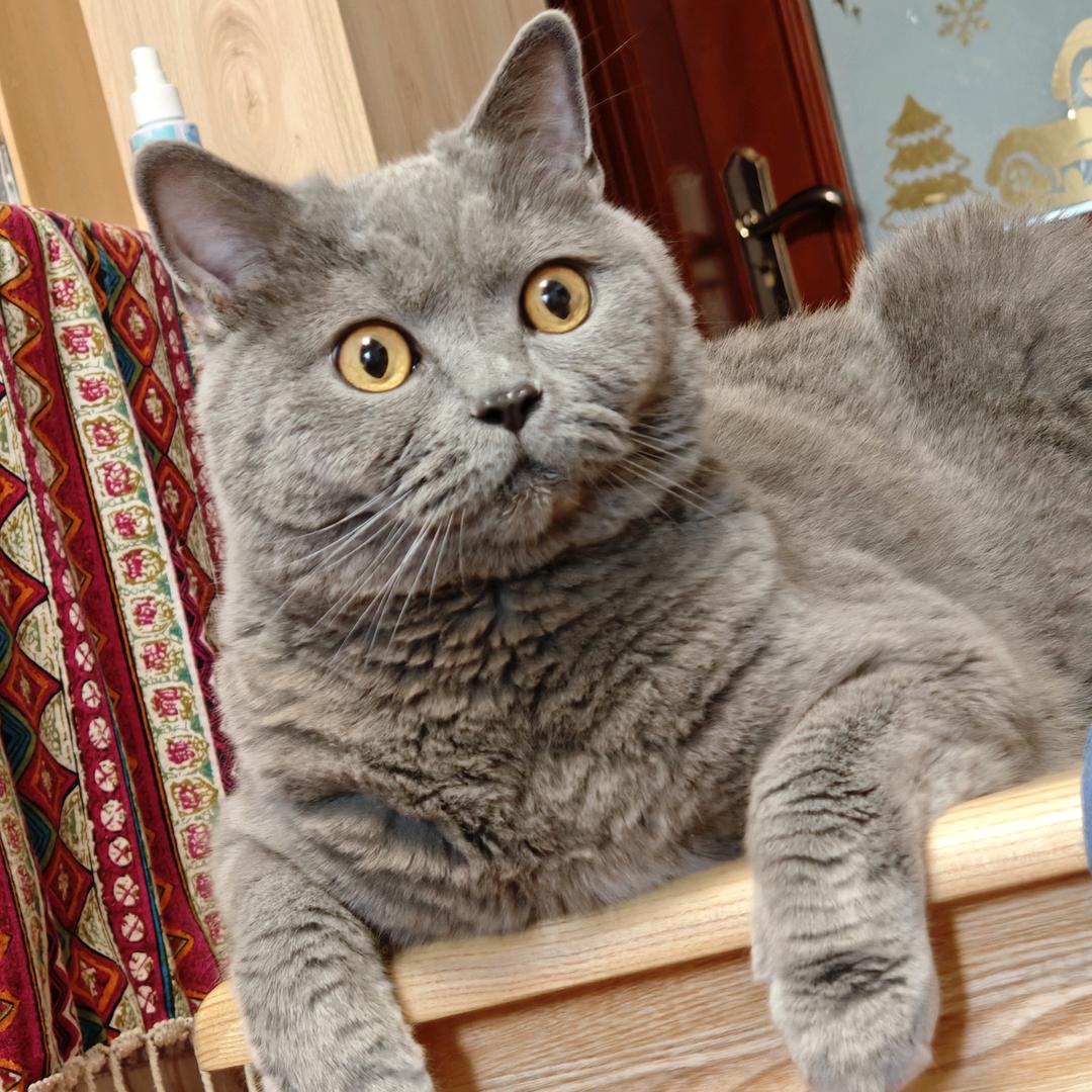 甄陂