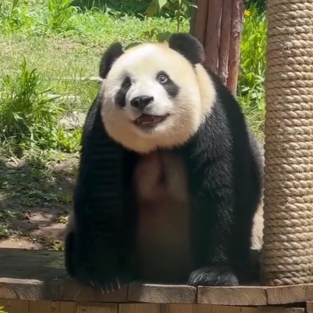 用户名54698704头像