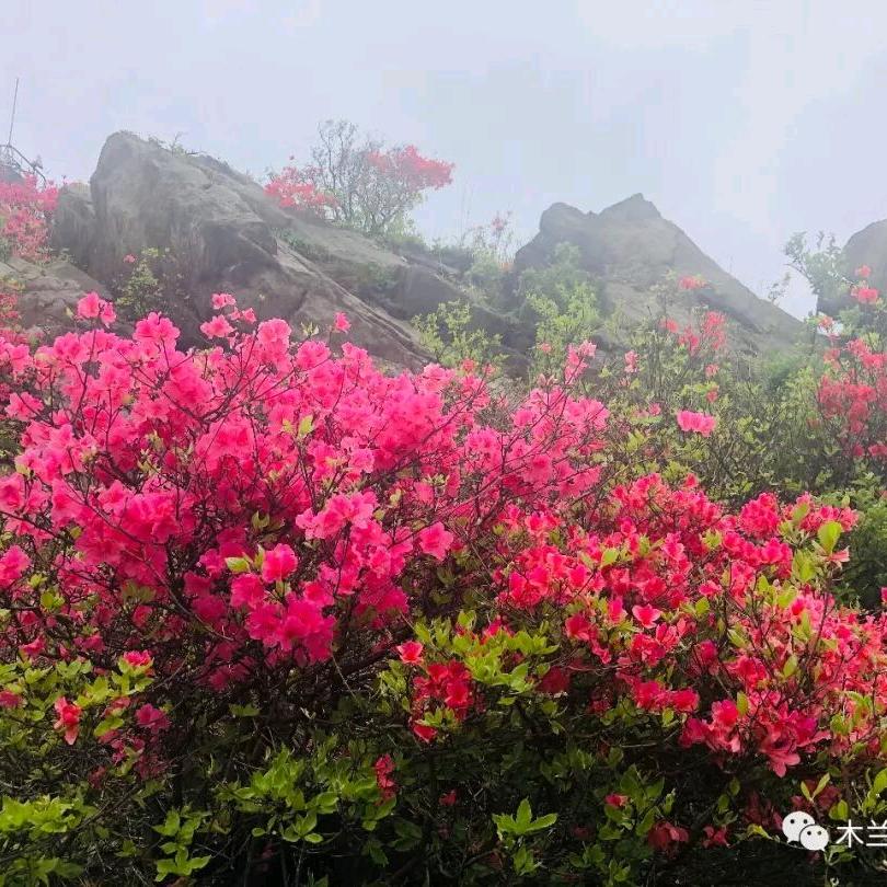 风雨