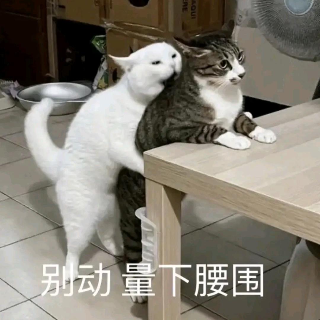 满山吗喽我腚最红