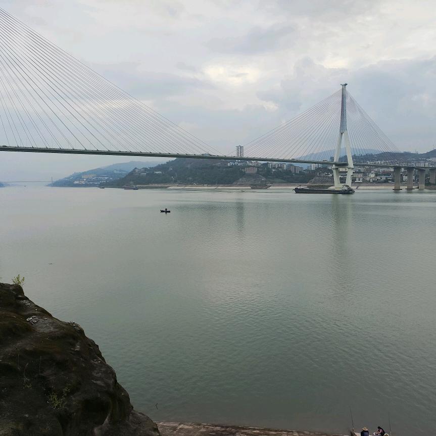 深林阳光
