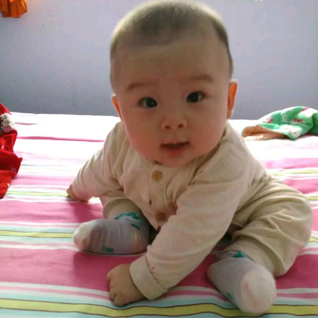 亲遇到宝（郑州打工记）