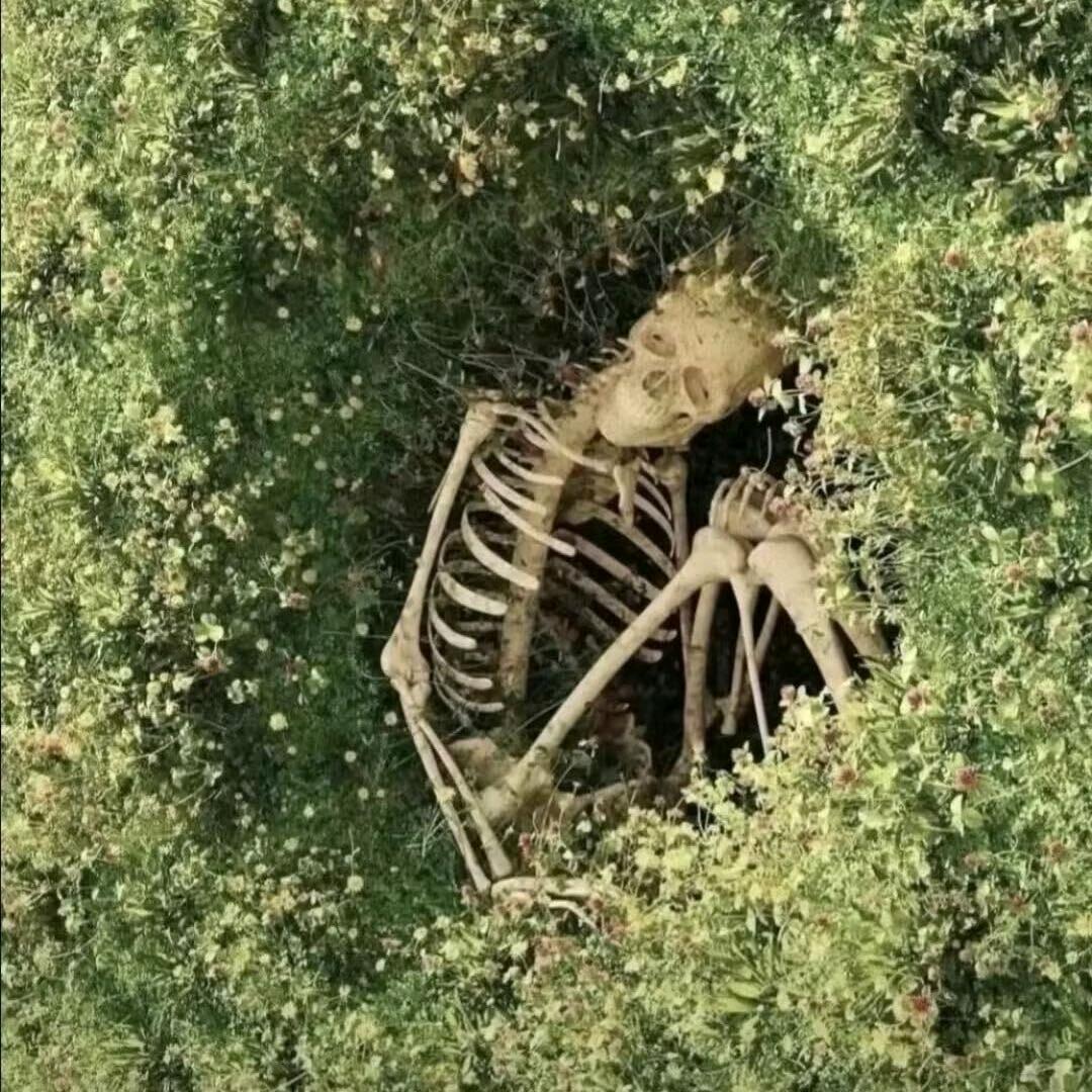 清梦