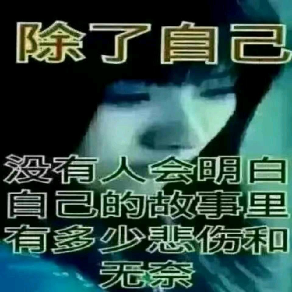 孤独的人谁来陪