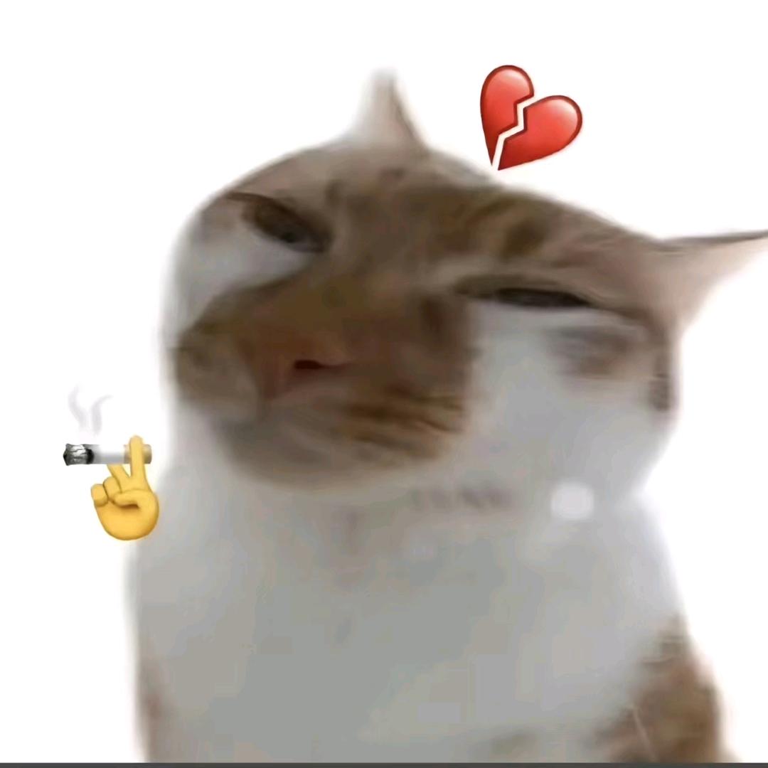 反光怪